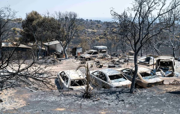 Le 29 juillet 2026 à Madrid, Espagne, suite au feu de forêt dévastateur de la Sierra Oeste ayant brûlé environ 34 000 hectares, image de carcasses de voitures calcinées et structures détruites parmi des arbres charbonnés et un sol couvert de cendres.