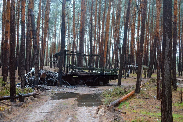 Véhicule militaire brûlé et abandonné au milieu d'un pinède calcinée, montrant les dégâts collatéraux de la guerre sur les forêts primaires ukrainiennes