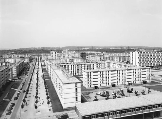 Vue en noir et blanc d'une large avenue bordée d'immeubles résidentiels uniformes à Sarcelles, avec des voitures garées, des piétons et un bâtiment commercial, caractéristique de l'architecture moderniste du milieu du XXe siècle.