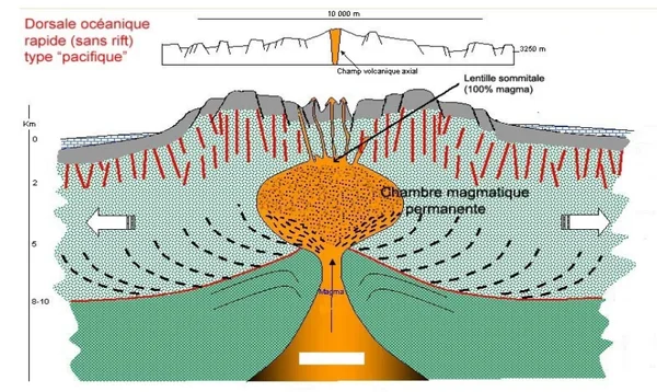 Illustration scientifique en coupe d'une dorsale océanique rapide de type Pacifique issue d'un cours sur la dynamique de la lithosphère, montrant la chambre magmatique permanente, le champ volcanique axial et les échelles de profondeur avec légendes en français