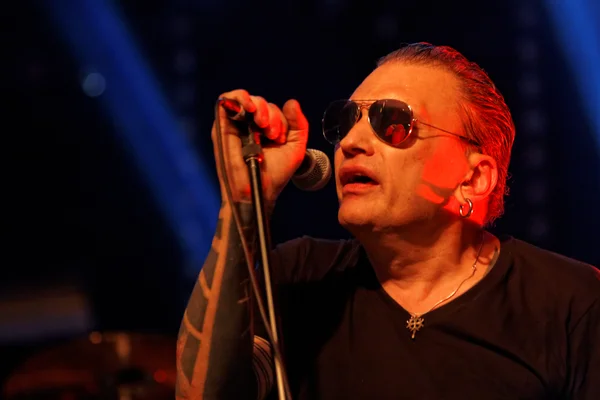 Daniel Darc sur scène, cheveux gominés en arrière et lunettes de soleil, tenant un pied de micro, son bras tatoué visible pendant sa performance