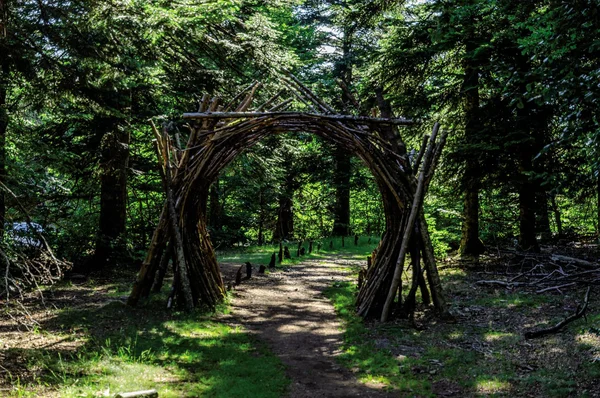 Arche rustique en branches tressées sur un sentier de terre dans une forêt dense des Cévennes, éclairée par des rayons de soleil filtrant à travers les arbres.