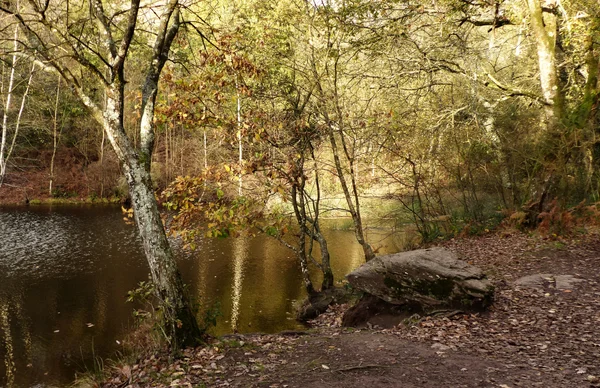 Scène paisible du Val sans Retour : une étendue d'eau calme entourée d'arbres aux feuilles d'automne et d'une rive rocheuse.
