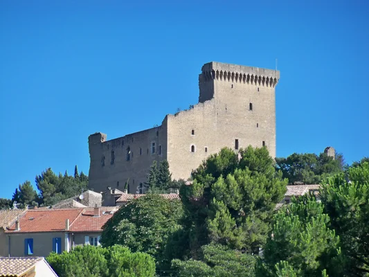 Le château de Châteauneuf-du-Pape en ruines, avec une haute tour, entouré de bâtiments résidentiels aux toits rouges et d'arbres verts sous un ciel bleu.