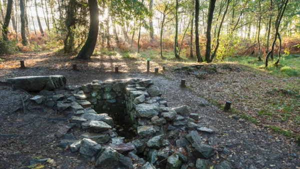 La fontaine de Barenton dans la forêt de Brocéliande à Paimpont, un site chargé de légendes liées à Merlin et aux mystères de la forêt.