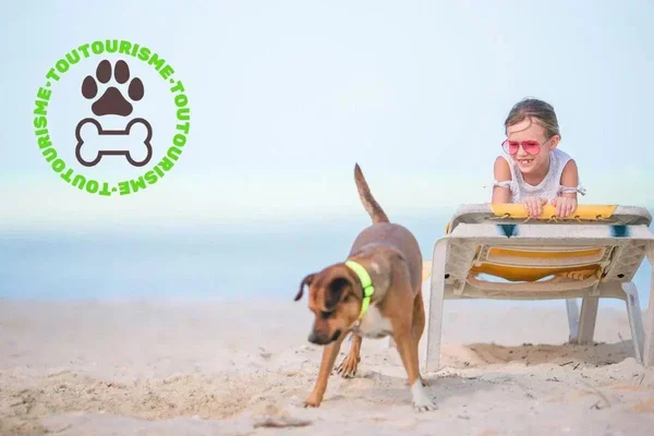 Logo ou affiche du label Toutourisme avec des adresses en France pour voyager sereinement avec son chien.