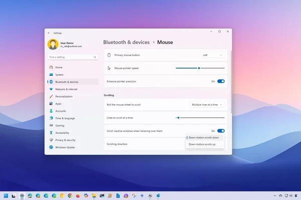 Paramètres de défilement inversé pour la souris et le pavé tactile dans Windows 11, affichés dans l'interface des options système.