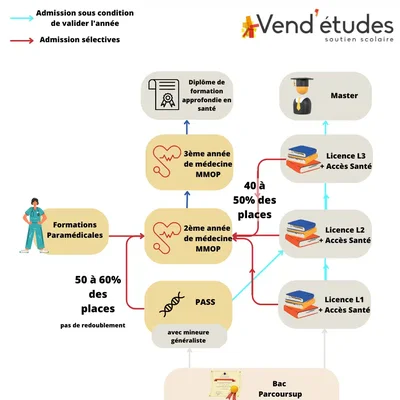 Image illustrant la réforme des études de santé PASS et LAS, issue de l'article sur Vend'études
