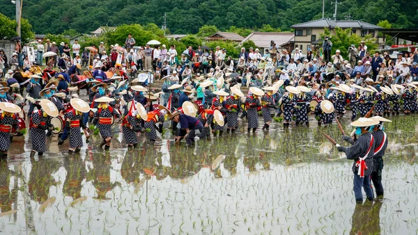 Festival de plantation de riz traditionnel au Japon, où des participants portant des vêtements folkloriques plantent des plants de riz dans les champs