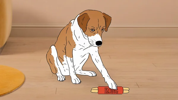 Illustration éditoriale plate d’un chien assis près d’un jouet Kong rouge rempli de friandises, levant la patte gauche vers le jouet dans un intérieur simple, pour illustrer le test de latéralité du Doginburgh Inventory.