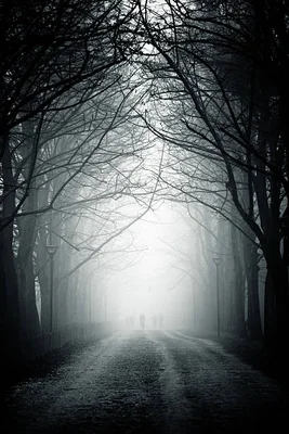 Route rurale vide s'étirant à perte de vue et disparaissant dans un épais brouillard
