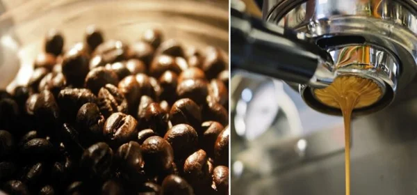 Visuel associé aux Cafés Méo, marque lilloise, issu du site Nord Découverte