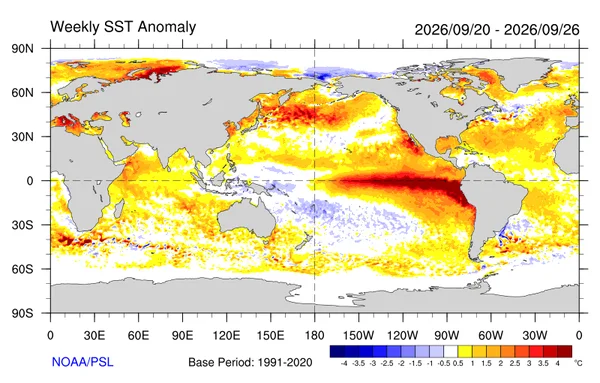 Carte hebdomadaire des anomalies de température de surface de la mer de la NOAA pour la semaine du 20 au 26 septembre 2026, avec une nette anomalie chaude de type El Niño dans le Pacifique équatorial