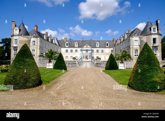 Vue panoramique du château d'Avaray dans le Loir-et-Cher, avec son allée de gravier bordée de buissons coniques taillés et de palmiers sous un ciel bleu