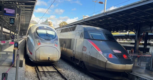 Deux trains à grande vitesse français, un TGV Duplex à double étage et un TGV Réseau, stationnés côte à côte à quai dans une gare, sous un ciel bleu dégagé