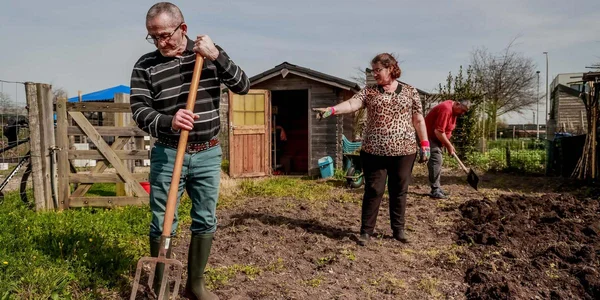 Trois personnes travaillant dans un jardin partagé à Mérignac : un homme à la fourche, une femme qui pointe du doigt et un homme qui bêche.