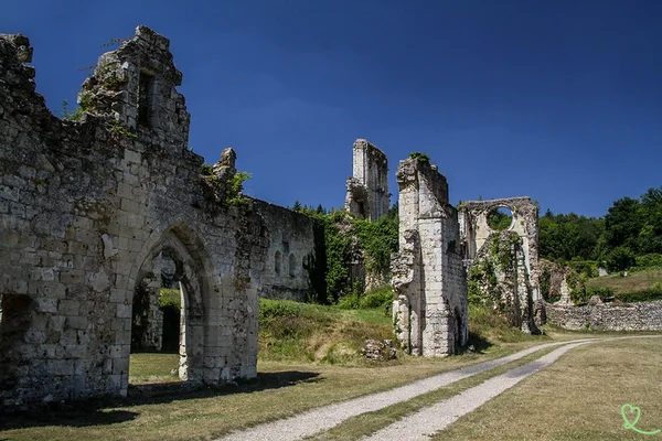 Ruines de l'église abbatiale de l'abbaye de Mortemer en Normandie : murs de pierre effondrés, portails en arc et baie circulaire ouverte sur un ciel bleu.