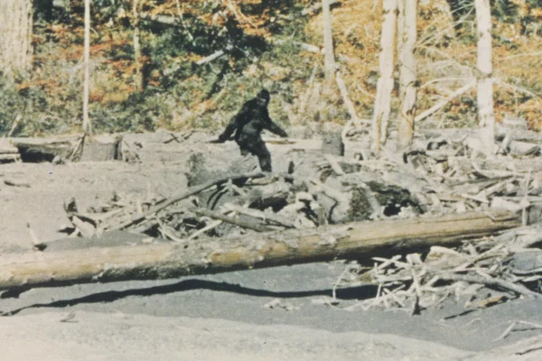 Visuel associé à l'article du « Los Angeles Times » sur le documentaire « Capturing Bigfoot », qui conclut au canular de la vidéo de Bigfoot.