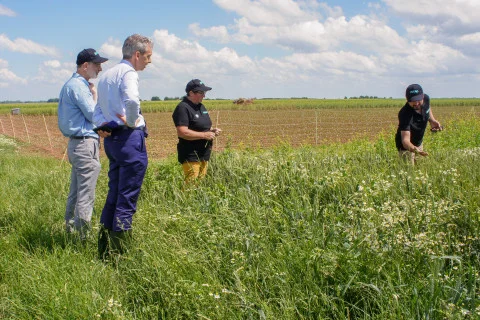 Quatre hommes dans une parcelle agricole : trois observent le champ debout, le quatrième, en polo et casquette, se penche pour examiner la végétation haute et les fleurs blanches, devant une parcelle labourée sous un ciel partiellement nuageux