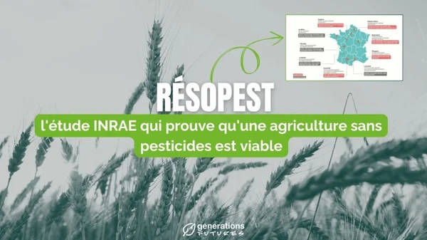 Visuel de l'étude Rés0Pest : champ de blé en fond, grand titre blanc « RÉSOPEST », bandeau vert « l'étude INRAE qui prouve qu'une agriculture sans pesticides est viable », carte de France des régions étudiées et logo Générations Futures