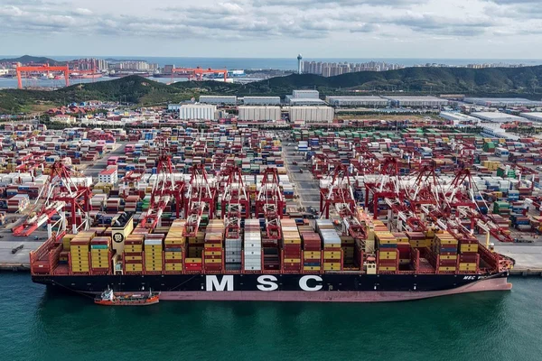 Vue aérienne d'un grand porte-conteneurs noir de la compagnie MSC à quai, chargé de conteneurs empilés, avec des rangées de grues portiques rouges, un vaste terminal à conteneurs et la silhouette d'une ville côtière au loin
