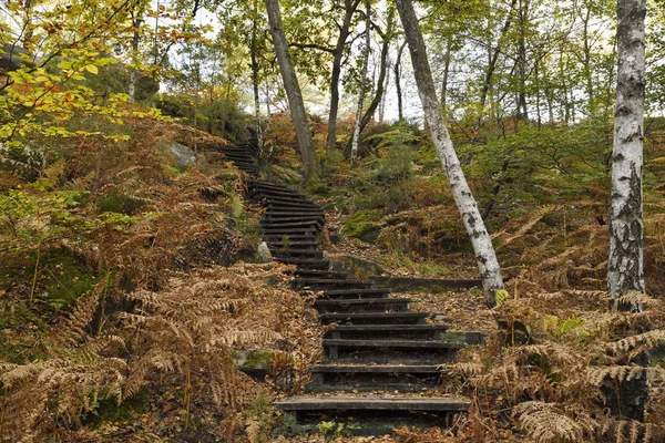 Sentier de l’érosion à Fontainebleau, itinéraire de randonnée touristique concerné par les phénomènes d’érosion et la fréquentation.