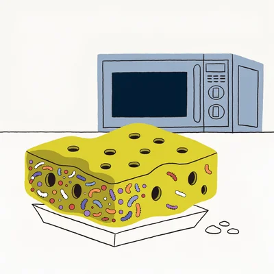 Illustration d'une éponge de cuisine humide et usée au premier plan, avec de minuscules amas de microbes visibles dans ses alvéoles, posée sur un plan de travail devant un four à micro-ondes fermé.