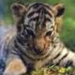 Jean-baptiste Lessirard