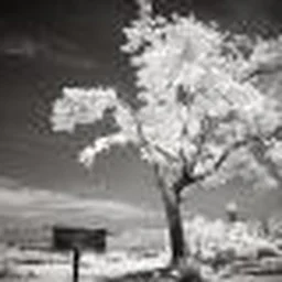 Et un point Dans ta gueule.