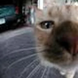 L'ouverture d'esprit n'est pas une fracture ... Du crâne !