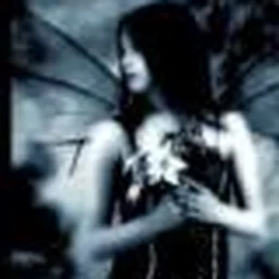 darkness24