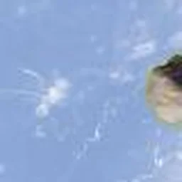 On revient toujours Quand la nostalgie vient nous prendre