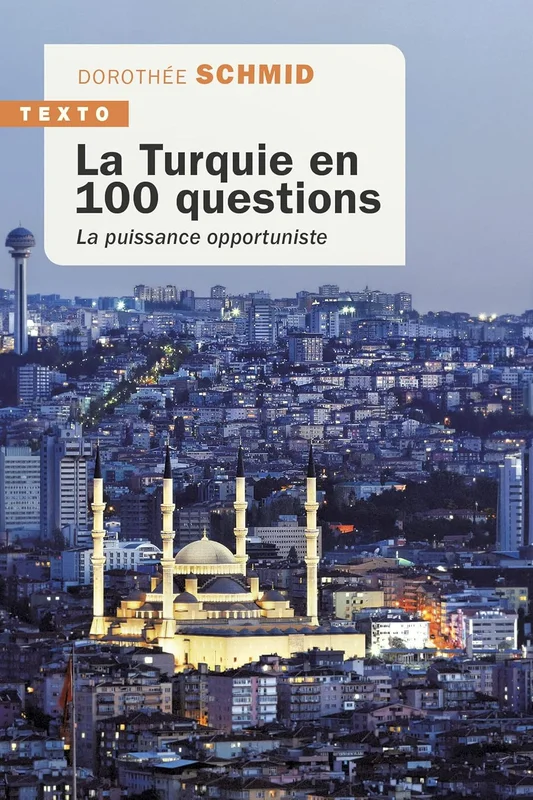 La Turquie en 100 questions: La puissance opportuniste