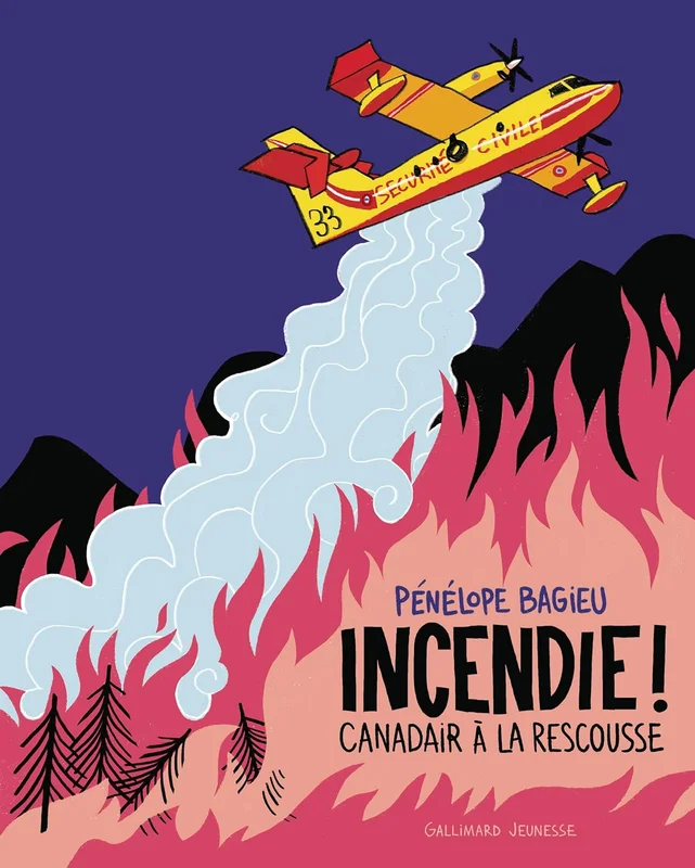 Incendie !: Canadair à la rescousse