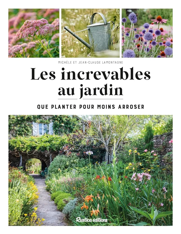 Les increvables au jardin: Que planter pour moins arroser ?