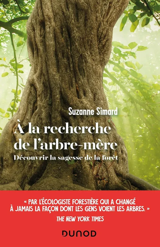 A la recherche de l'arbre-mère: Découvrir la sagesse de la forêt