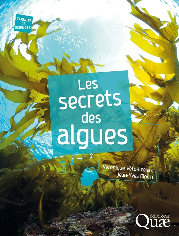 Les secrets des algues (Carnets de sciences)