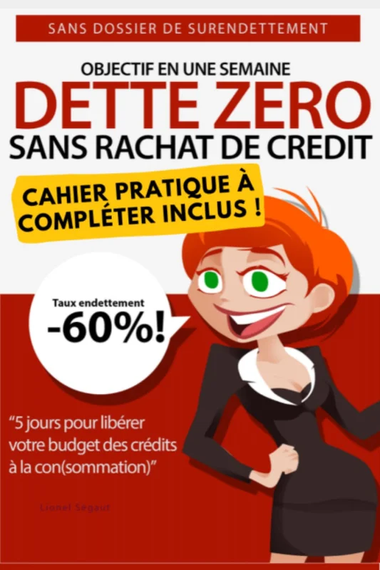 DETTE ZERO : Comment réduire ses dettes rapidement: 5 jours pour installer facilement votre plan d'élimination de crédits: Sans rachat de crédit, sans ... de surendettement pour mieux gerer son budget