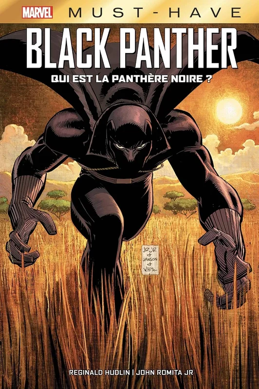 Black Panther: Qui est la Panthère Noire ?