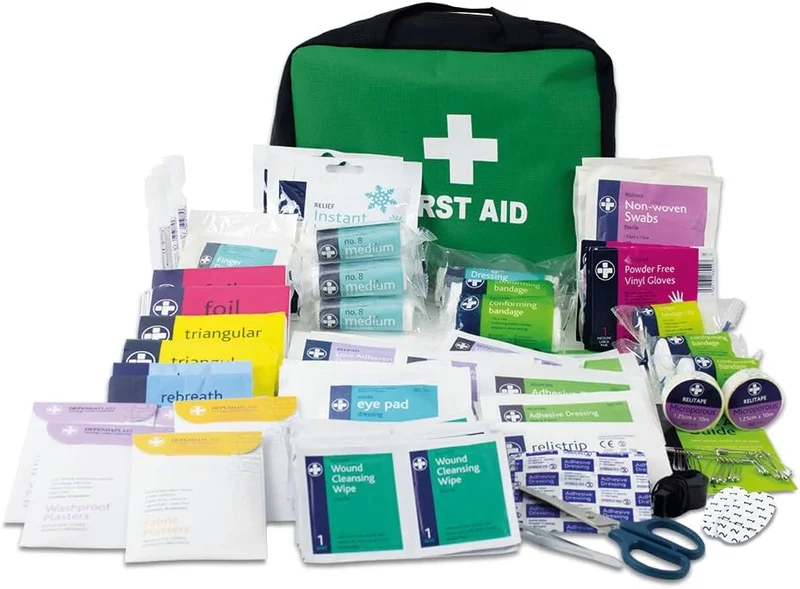 Lewis-plast First Aid Kit to Keep in Your Car, Home, Work, Vacation - Includes Essentials for Daily Emergencies, 309 Pieces (Pack of 1)