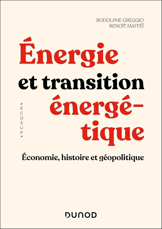 Énergie et transition énergétique: Économie, histoire et géopolitique