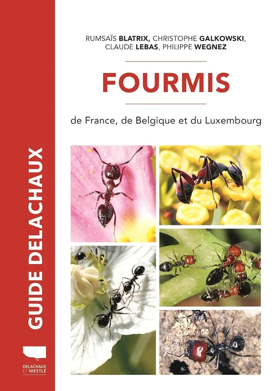 Fourmis de France: Plus de 100 espèces décrites