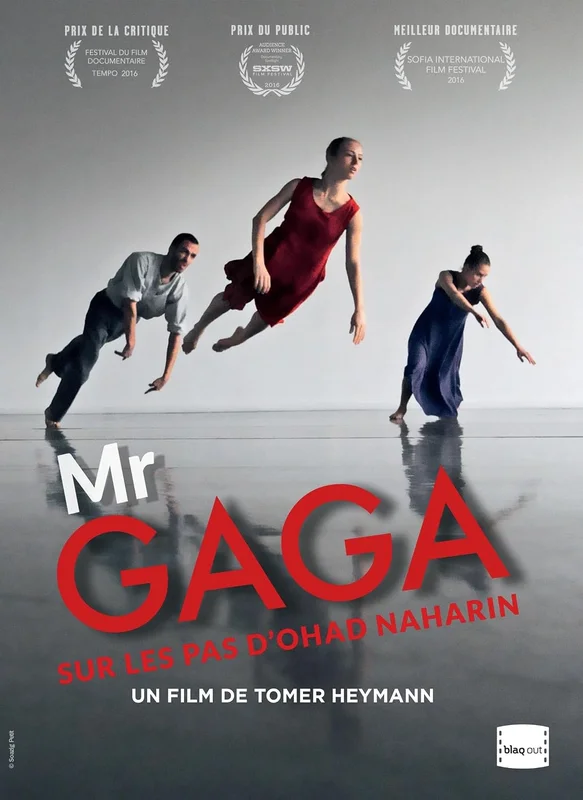 MR GAGA, SUR LES PAS DE OHAD NAHARIN - DVD