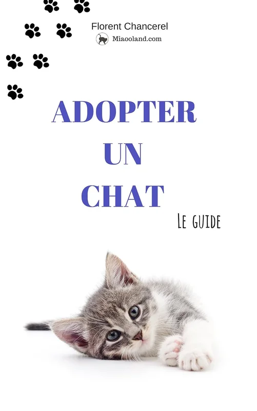 Adopter un chat: Le guide