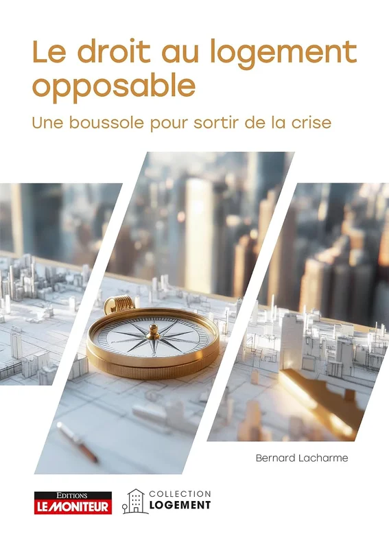 Le Droit Au logement Opposable: Genèse, mise en oeuvre, limites et perspectives pour sortir de la crise
