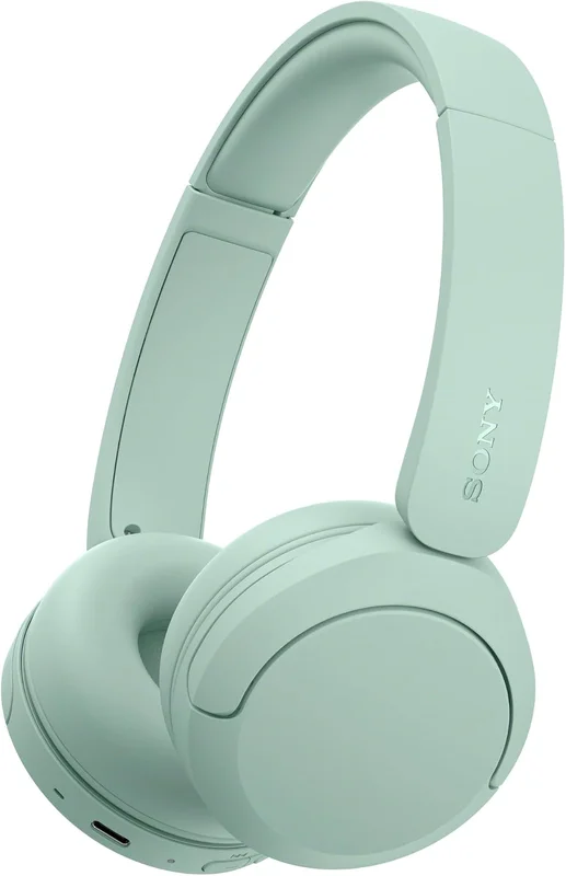Casque sans Fil Bluetooth Sony WH-CH530