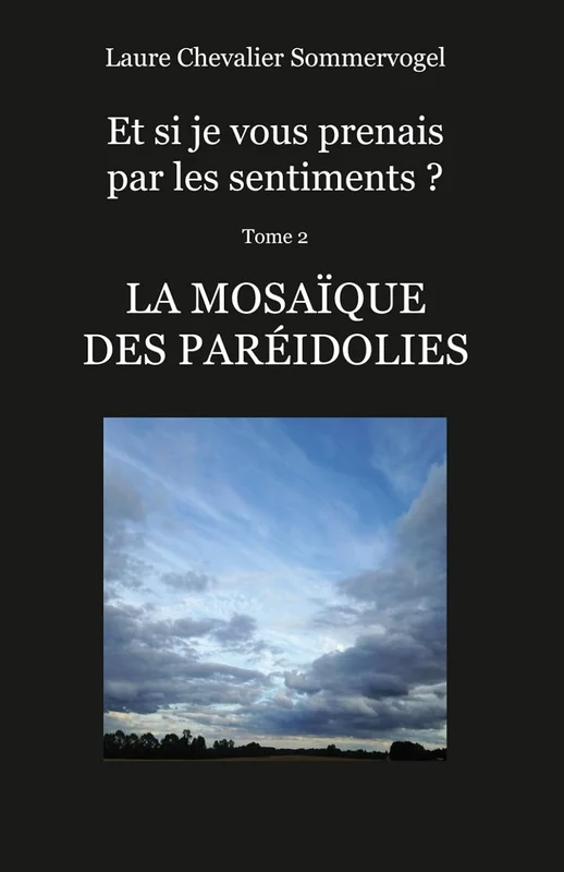 La Mosaïque des Paréidolies