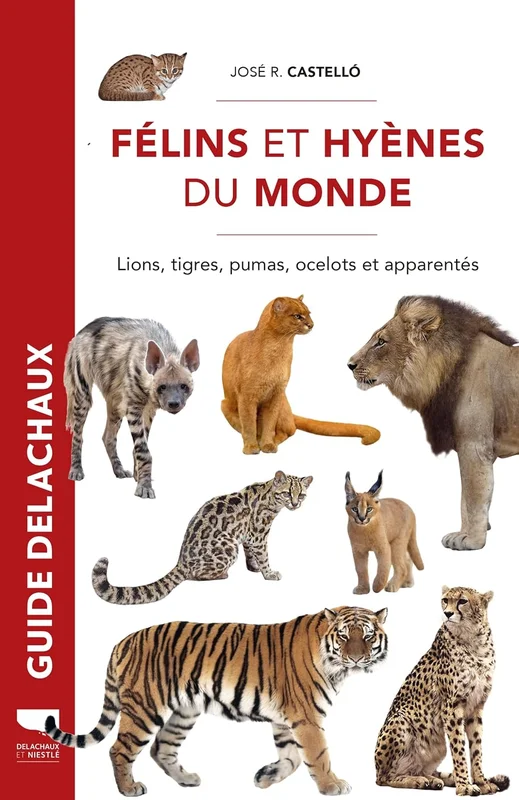 Félins et hyènes du monde: Lions, tigres, pumas, ocelots et apparentés