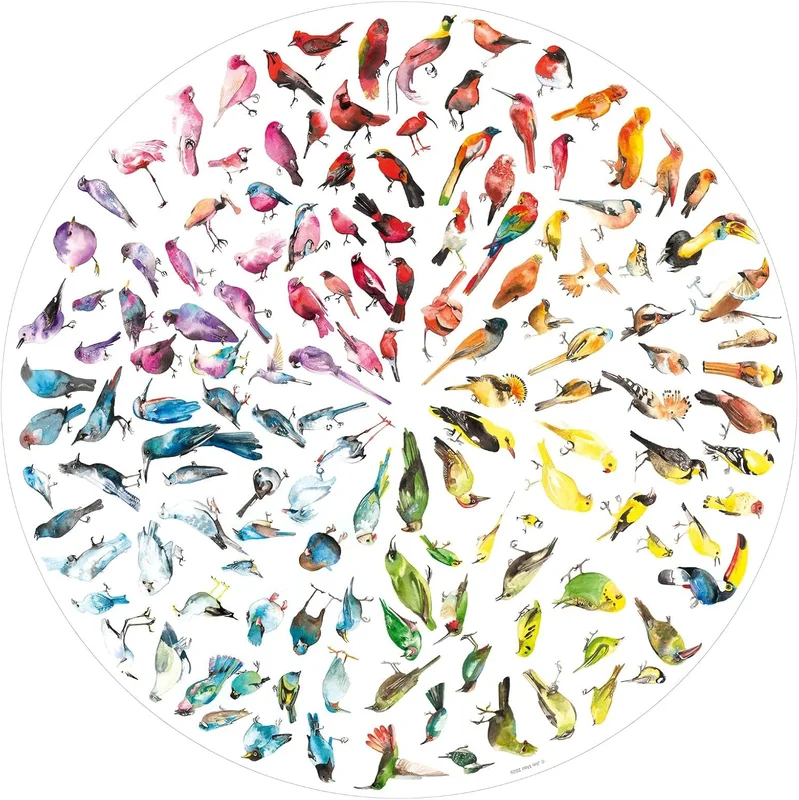 Ravensburger Circle of Colours Bird Colour Wheel Puzzle Circulaire de 500 pièces – Œuvre d'art Jim Moir, Motif Oiseau coloré, Puzzle Adulte, idée Cadeau, Puzzle Rond