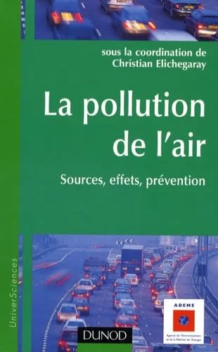 La pollution de l'air : Sources, effets, prévention